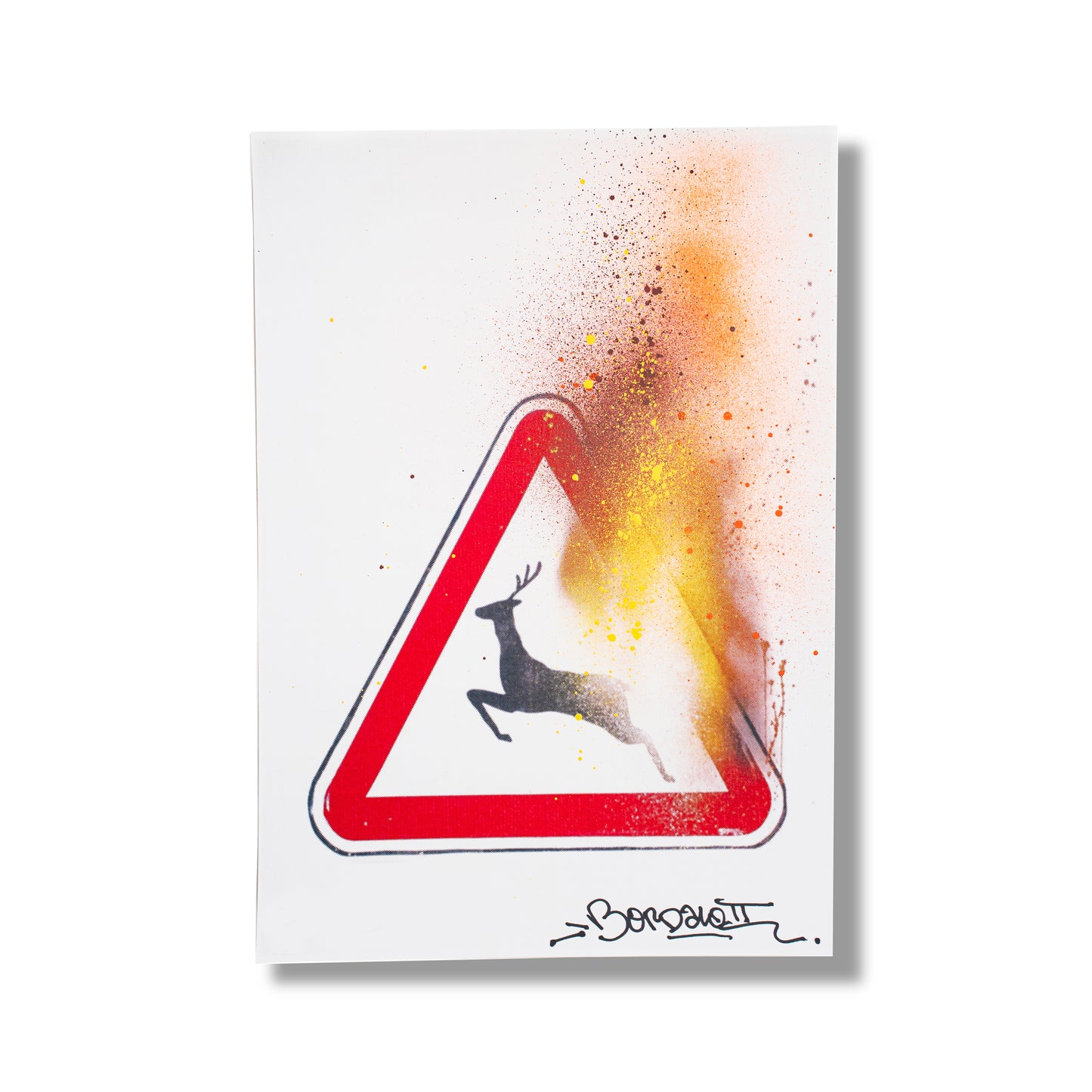 WILD WILD FIRES