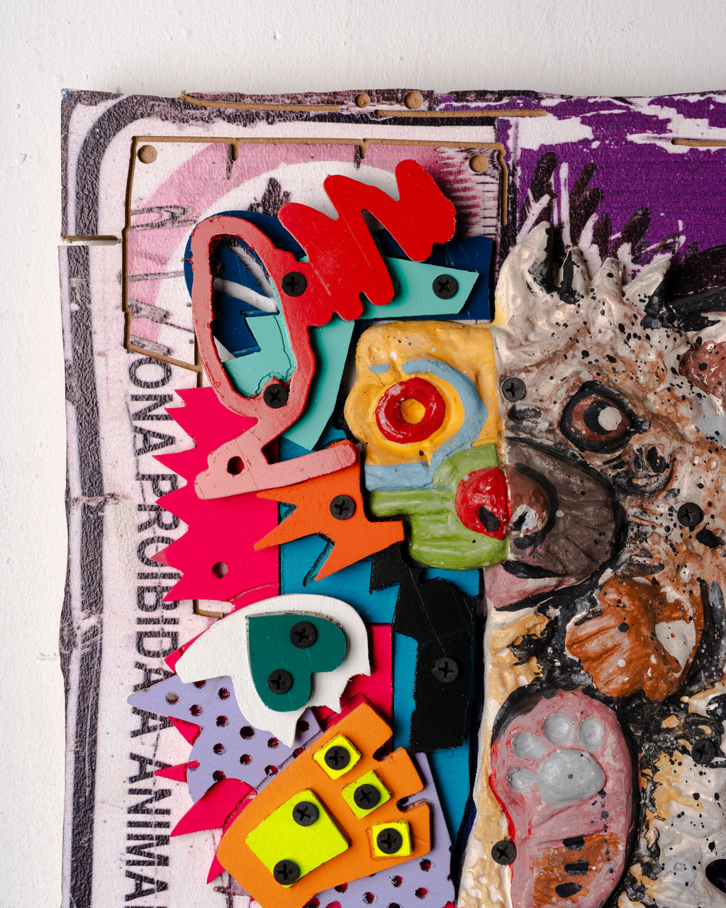 Half Hedgehog Edition