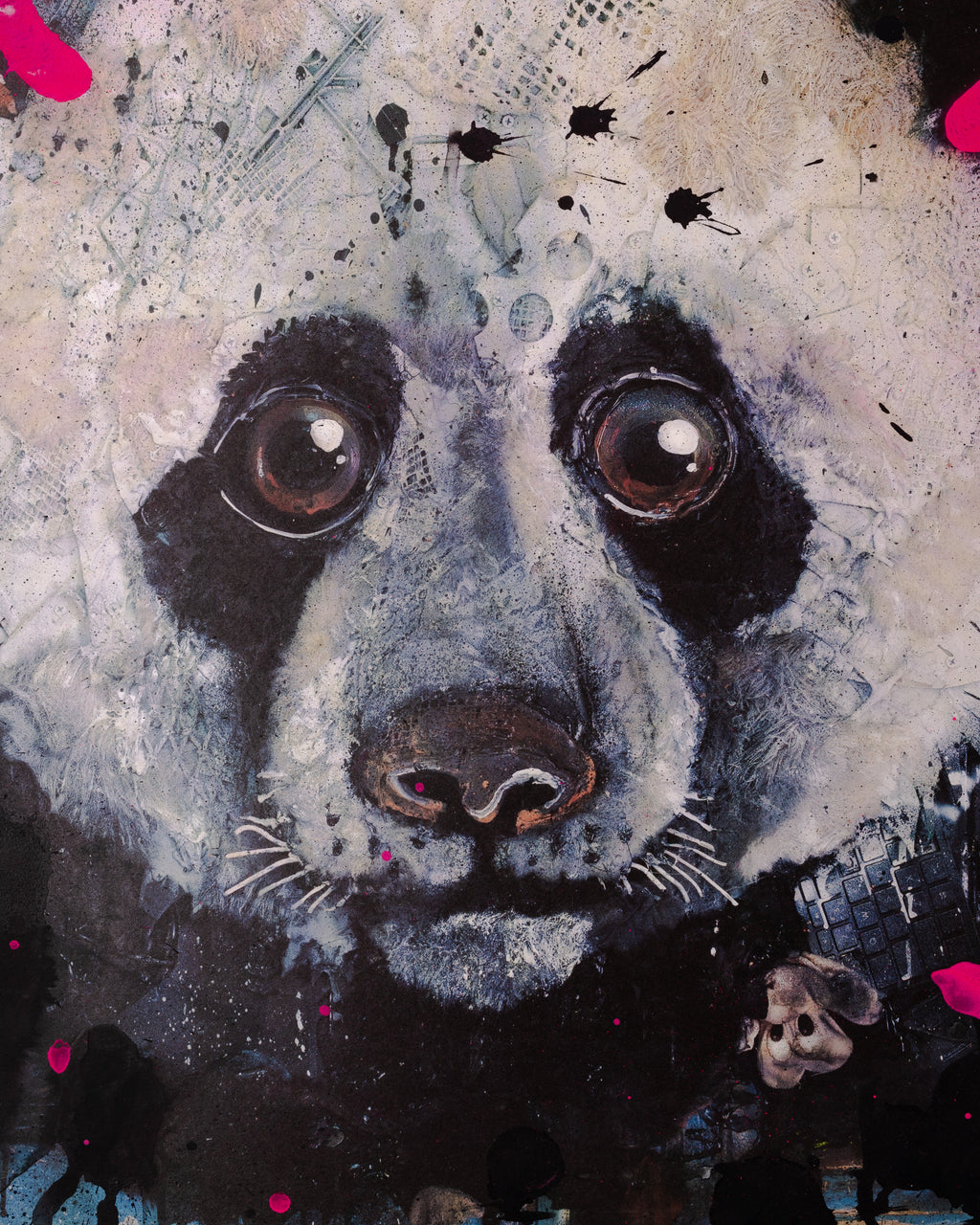 Panda Special Edition