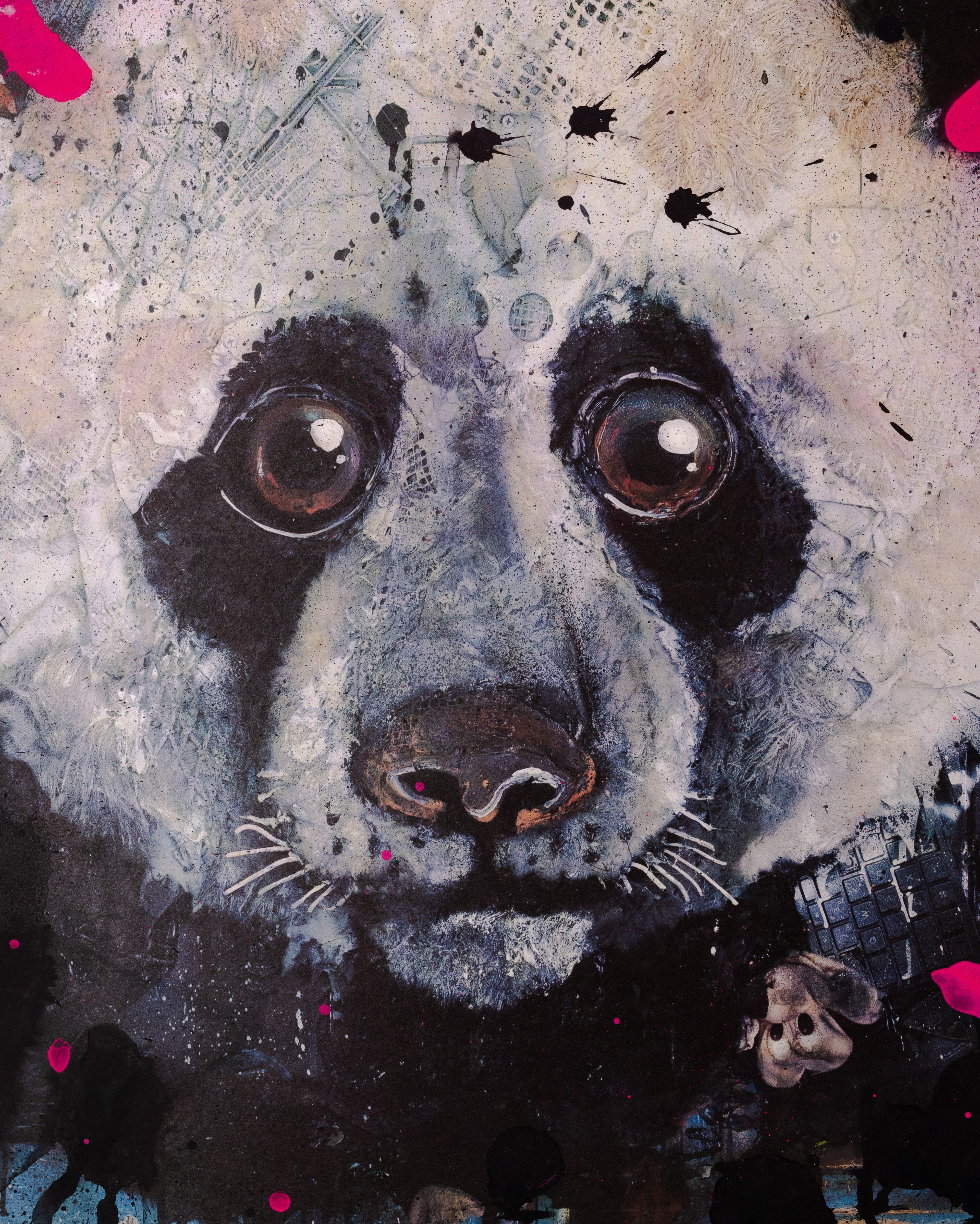 Panda Special Edition