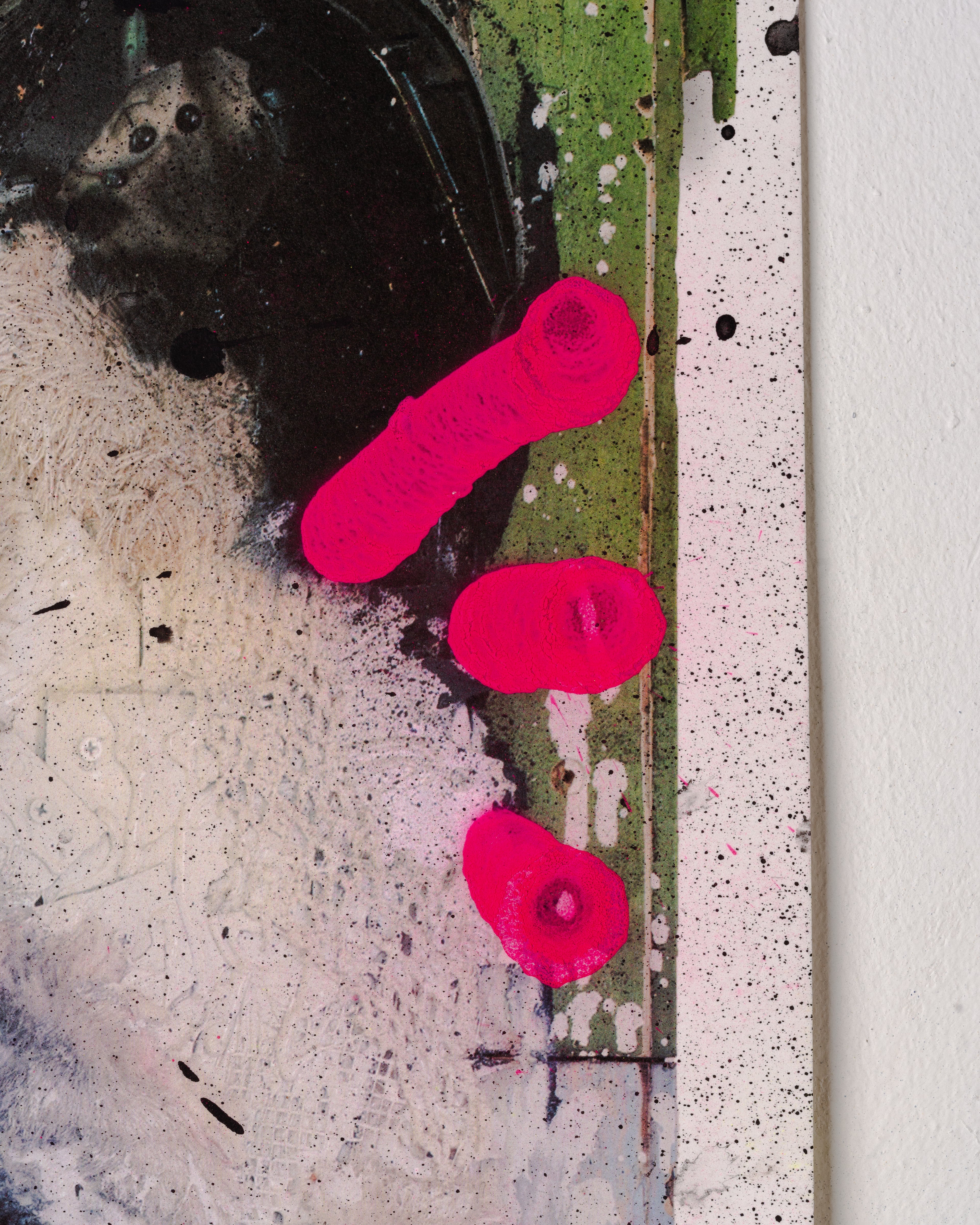 Panda Special Edition