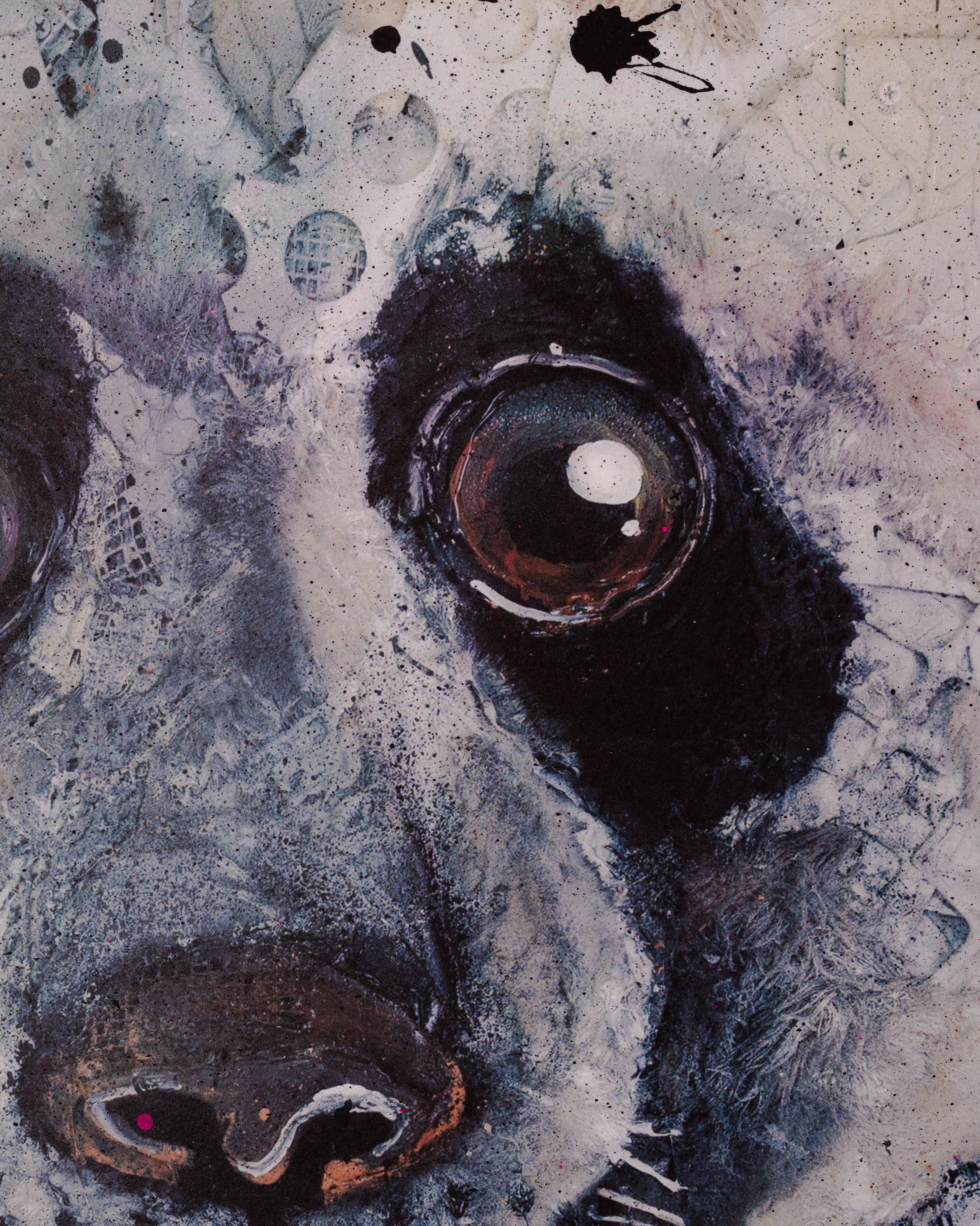 Panda Special Edition