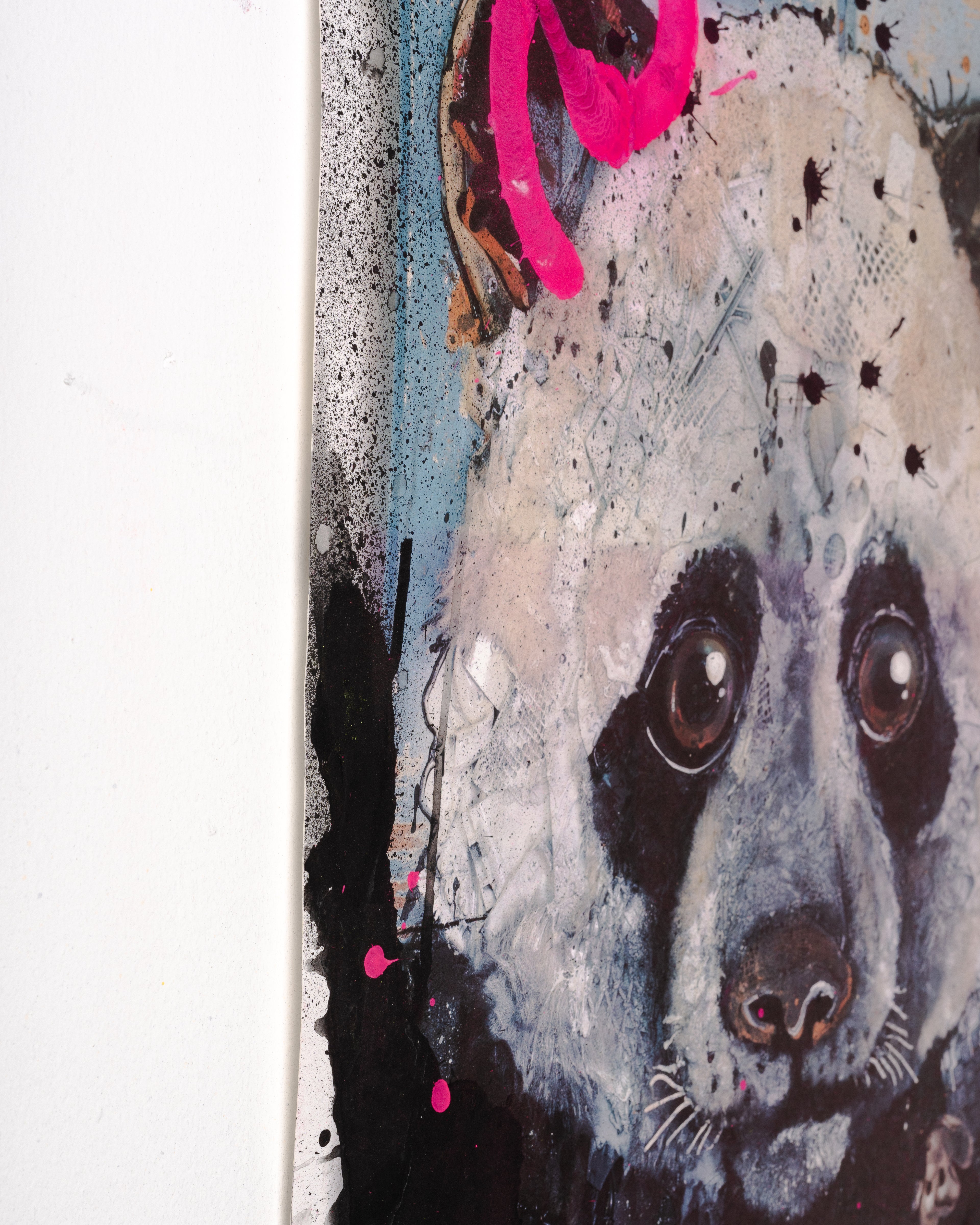 Panda Special Edition