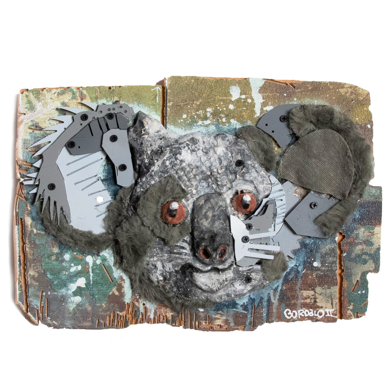 Young Koala Edition