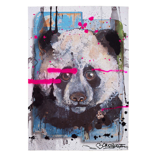 Panda Special Edition